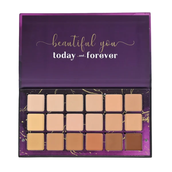 Aflairza The Flawless Edit Concealer Corrector Palette